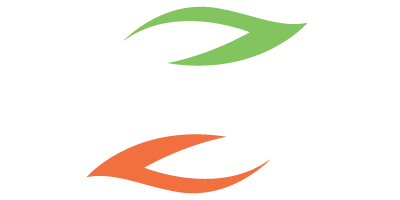 Zimplow logo