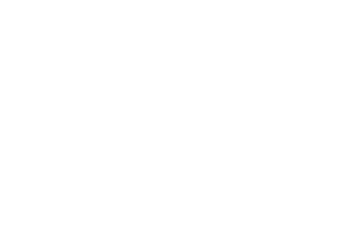 zimplow_scanlink